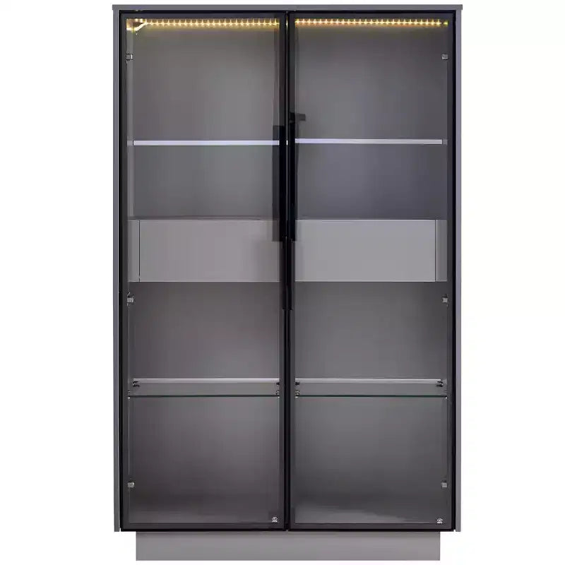Vetrina illuminata, espositore a LED con ante in vetro temperato, 2 cassetti, ripiani regolabili, design moderno e minimalista, grigio