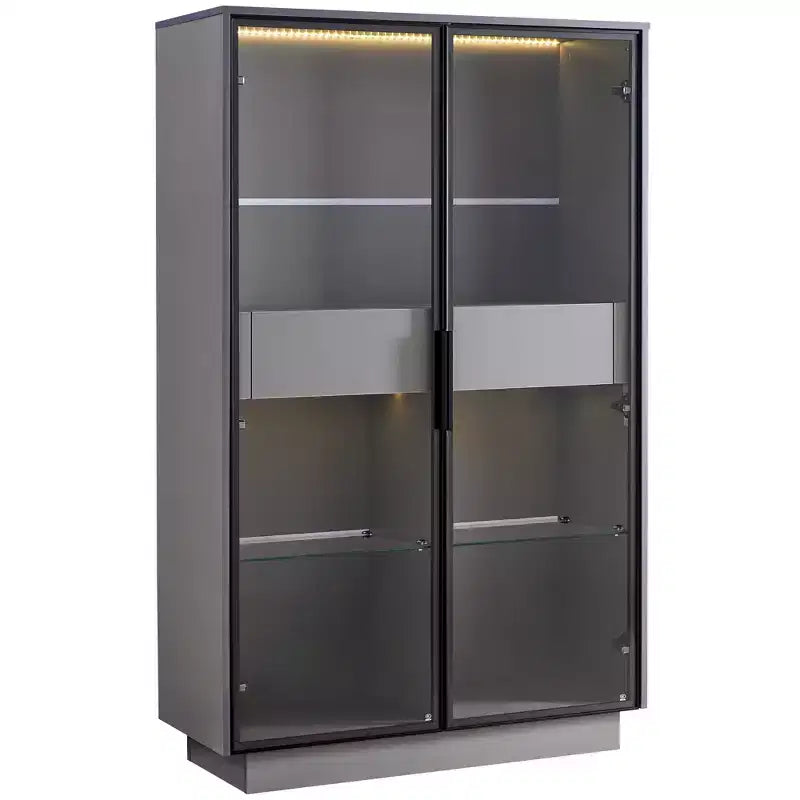 Vetrina illuminata, espositore a LED con ante in vetro temperato, 2 cassetti, ripiani regolabili, design moderno e minimalista, grigio